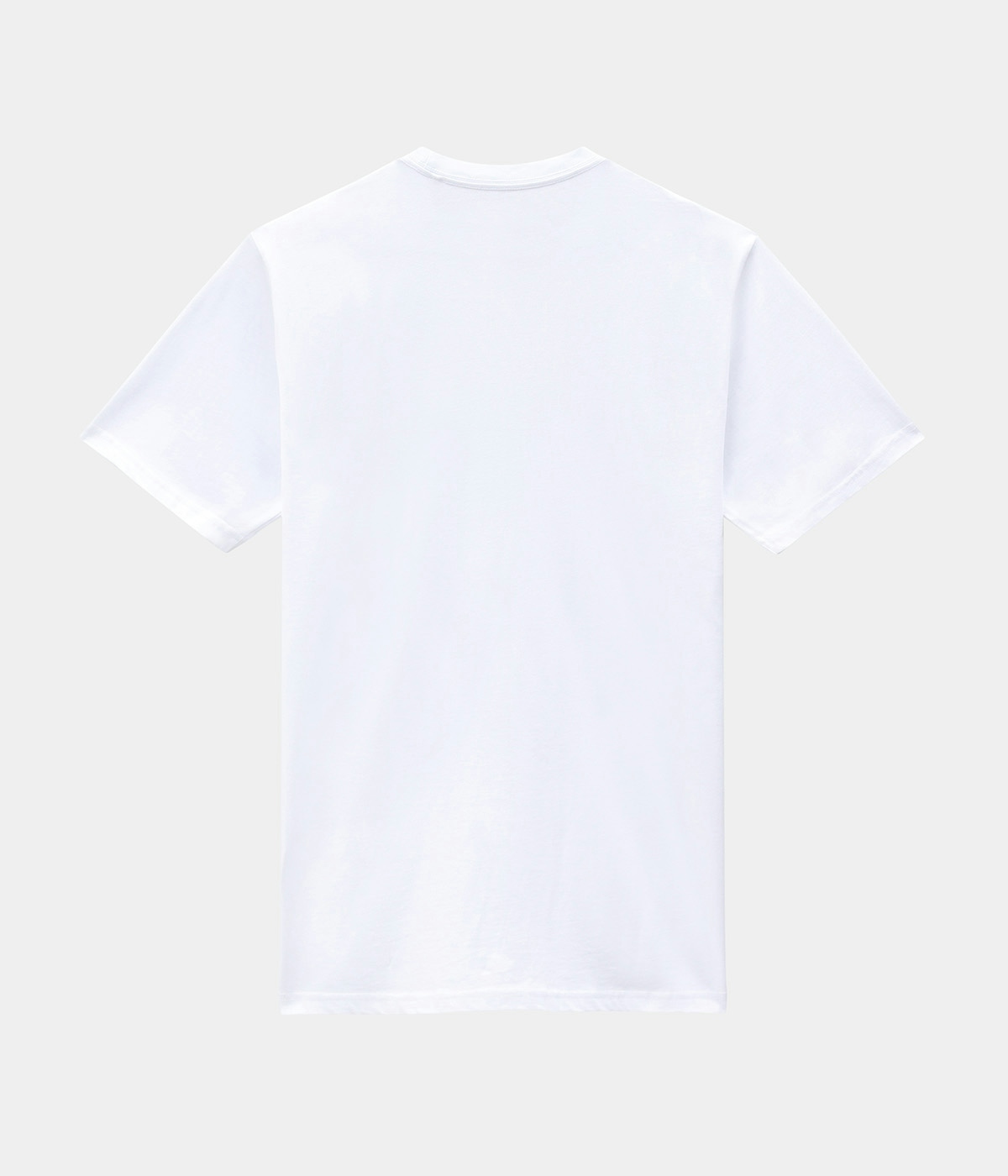 Dickies Ss Mapleton T-shirt White 2