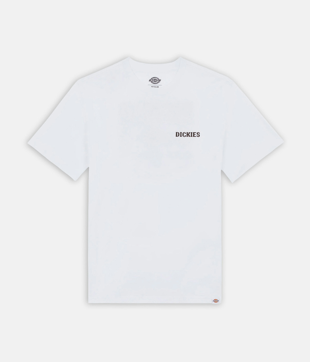 Dickies Hays T-shirt White 1